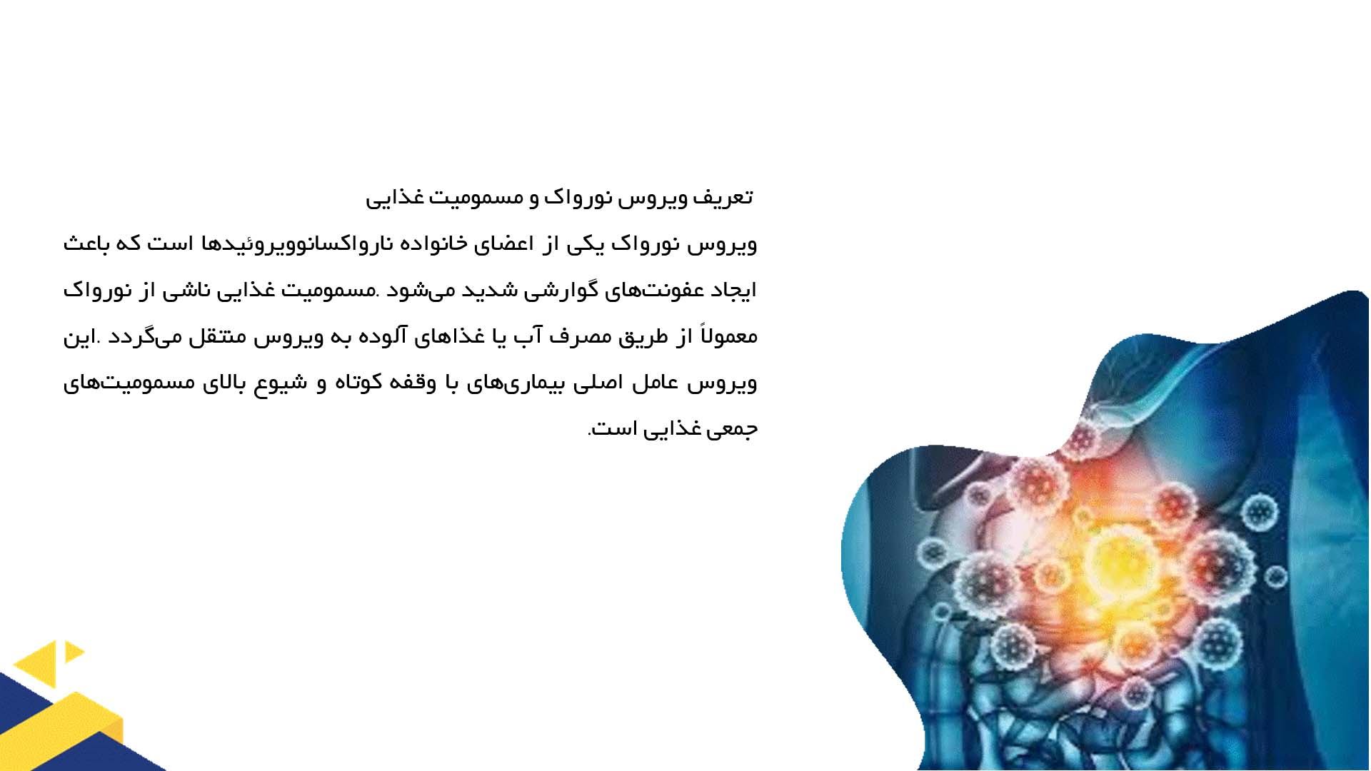پاورپوینت در مورد بررسی ویروس نورواک و مسمومیت غذایی